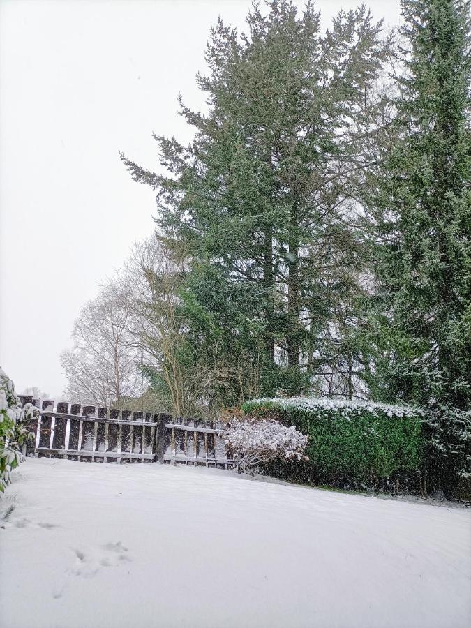 Bergfreude Chalet Braunlage Exterior photo